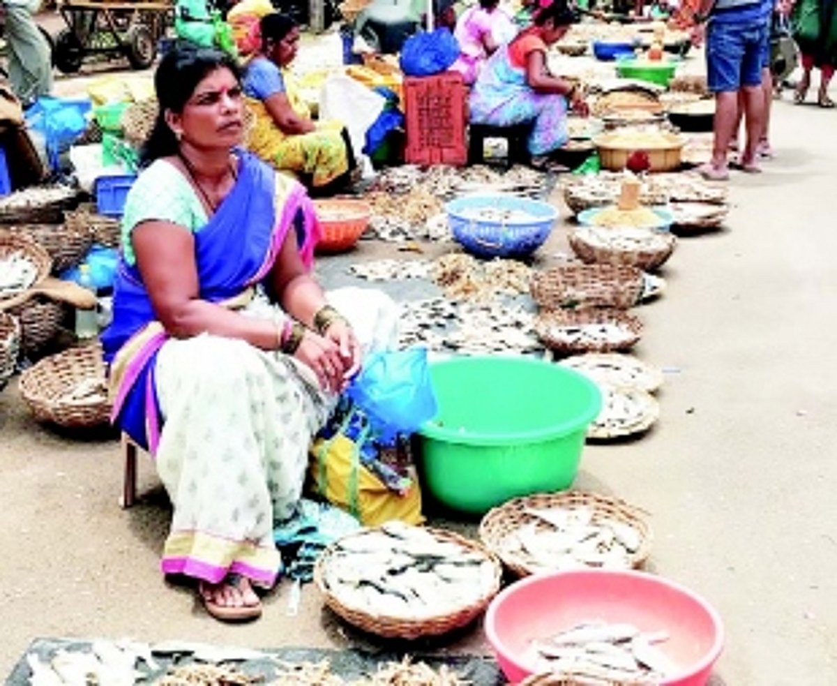 Suiting one’s palate & pocket: Goans flock to Karwar market to procure dried fish