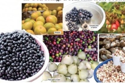 Summer in Goa brings a seasonal fruit bounty
