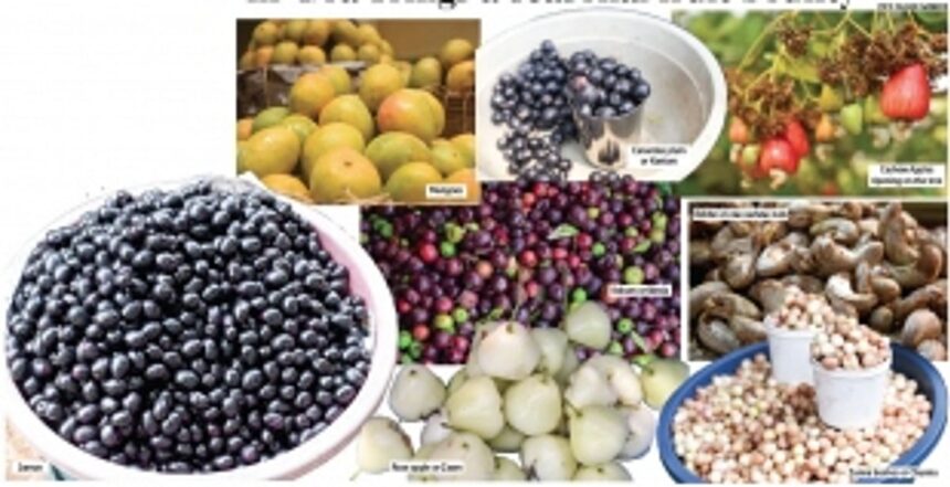 Summer in Goa brings a seasonal fruit bounty