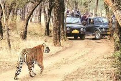 Supreme Court Rules Against Goa Government in Tiger Reserve Dispute
