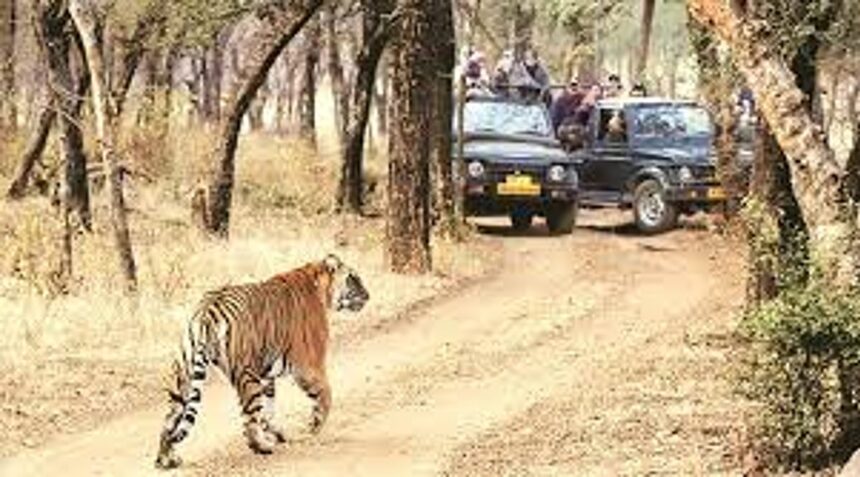 Supreme Court Rules Against Goa Government in Tiger Reserve Dispute 1 Supreme Court Rules Against Goa Government in Tiger Reserve Dispute