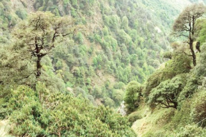 Supreme Court Seeks Explanation from MoEFCC Over Controversial Green Credit System