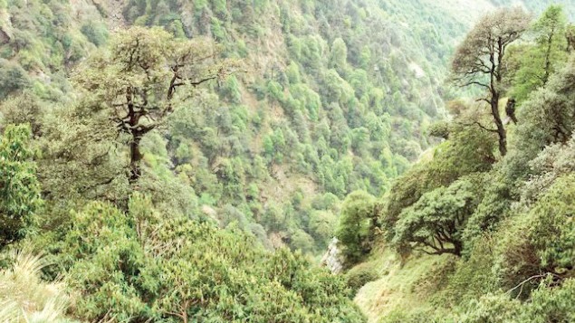 Supreme Court Seeks Explanation from MoEFCC Over Controversial Green Credit System