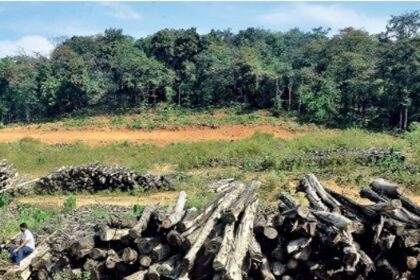 Supreme Court Warns Goa Government Again: "Don’t Turn Goa into a Concrete Jungle