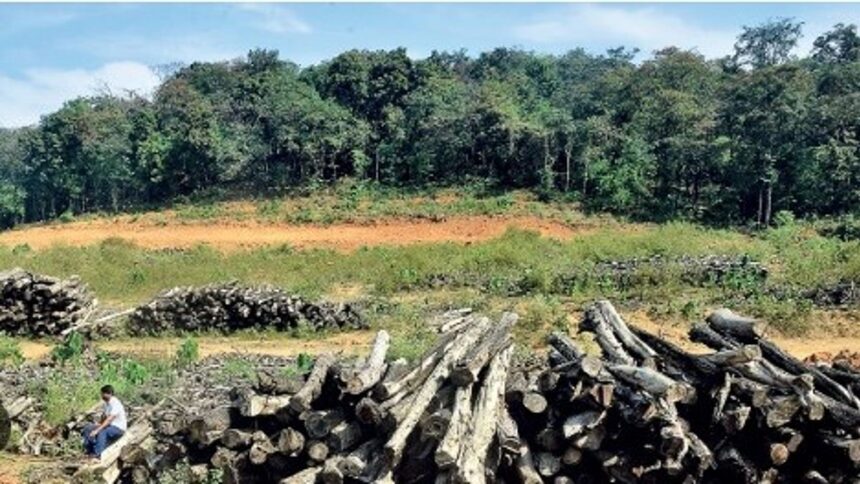 Supreme Court Warns Goa Government Again: "Don’t Turn Goa into a Concrete Jungle 1 Supreme Court Warns Goa Government Again: "Don’t Turn Goa into a Concrete Jungle