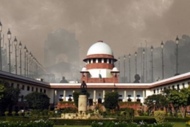 Supreme Court's Landmark Order Addresses Delhi's Air Crisis and Urges Action on Crop Residue Burning
