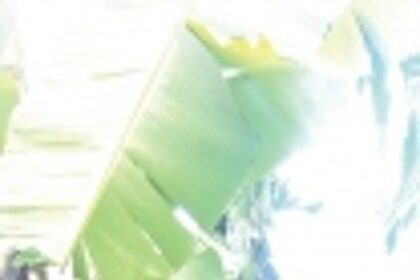 Suresh Sawant defies the trend of Goa’s vanishing toddy tappers