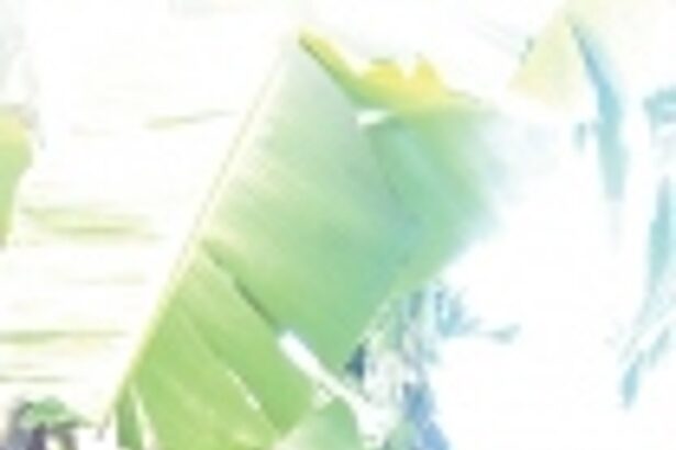 Suresh Sawant defies the trend of Goa’s vanishing toddy tappers