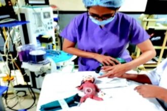 Surgeons successfully operate on 500gm ‘preemie’ with near-fatal birth defect