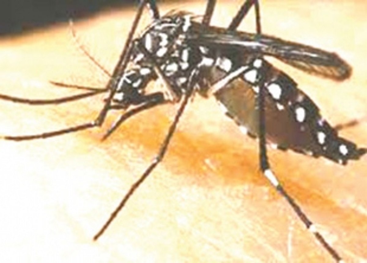 Suspected dengue  case reported  in Panjim