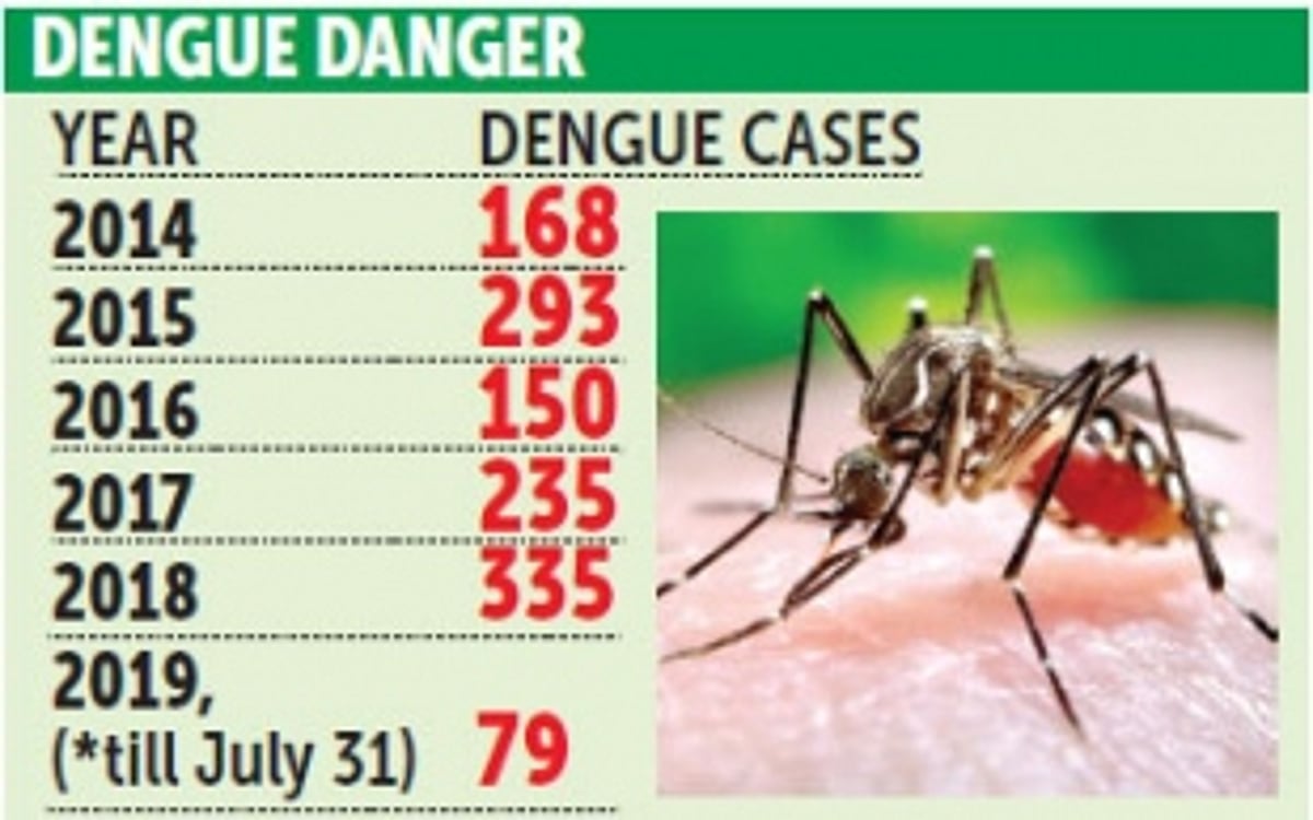 Suspected dengue cases up, confirmation awaited