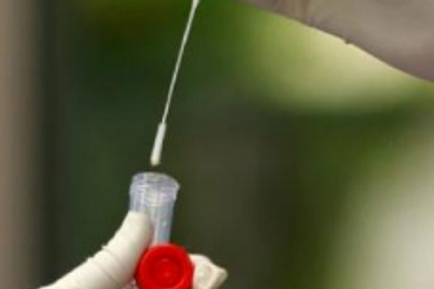 Swabs collected from Mandrem, Corgao and Varkhand