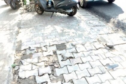 Swatantra path in Vasco  needs new pavers