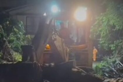 Swift Action Averts Crisis After Tree Uprooting in Cobra Vaddo