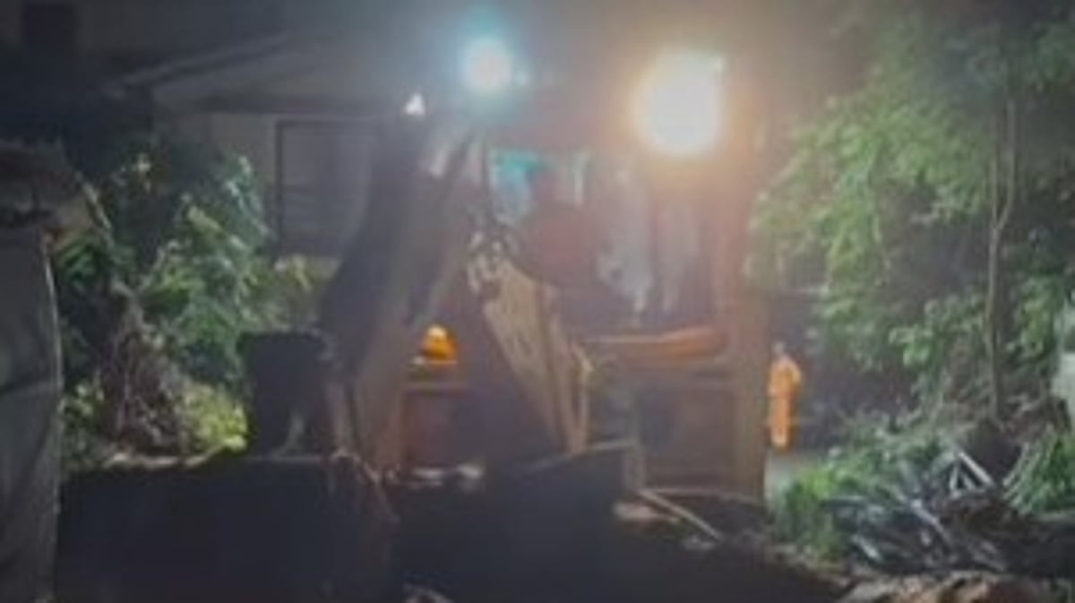 Swift Action Averts Crisis After Tree Uprooting in Cobra Vaddo