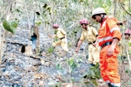TAKE NOTE: Unauthorised access  in State’s forest areas BANNED