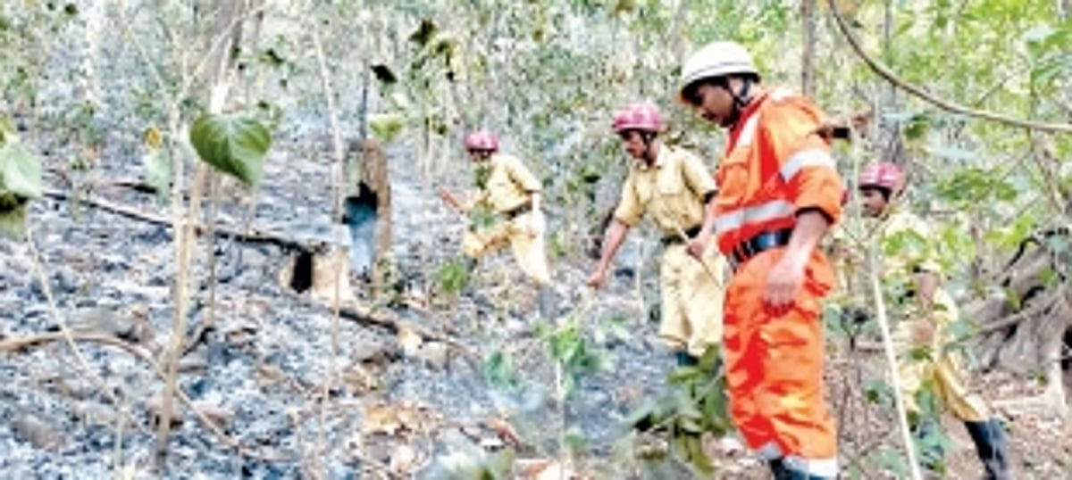 TAKE NOTE: Unauthorised access  in State’s forest areas BANNED