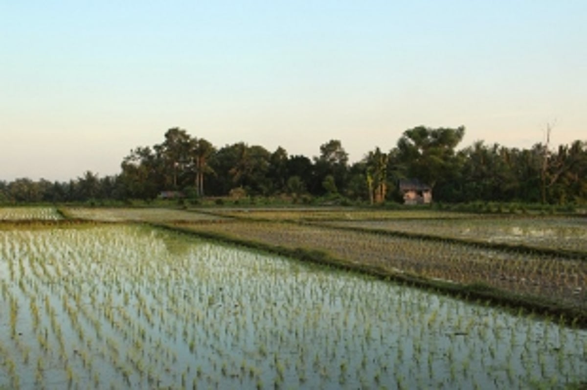 TALAVALIM VILLAGERS RETURN TO THEIR ROOTS