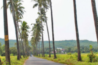 TCP Board okays draft ODPs of  Bambolim, Arpora-Nagoa-Parra