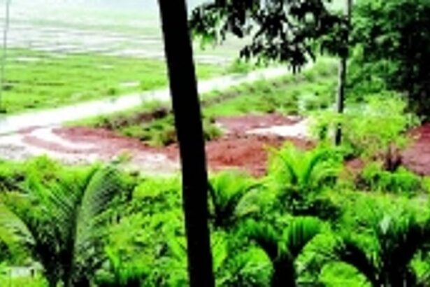 TCP flying squad confirms illegal land filling at Rachol