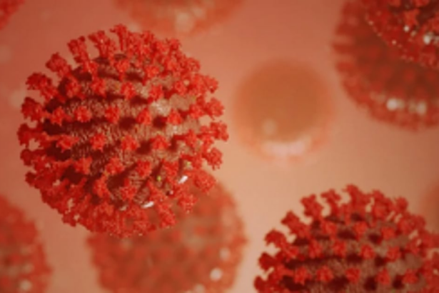 TERRIFYING, TERRIFYING, TERRIFYING