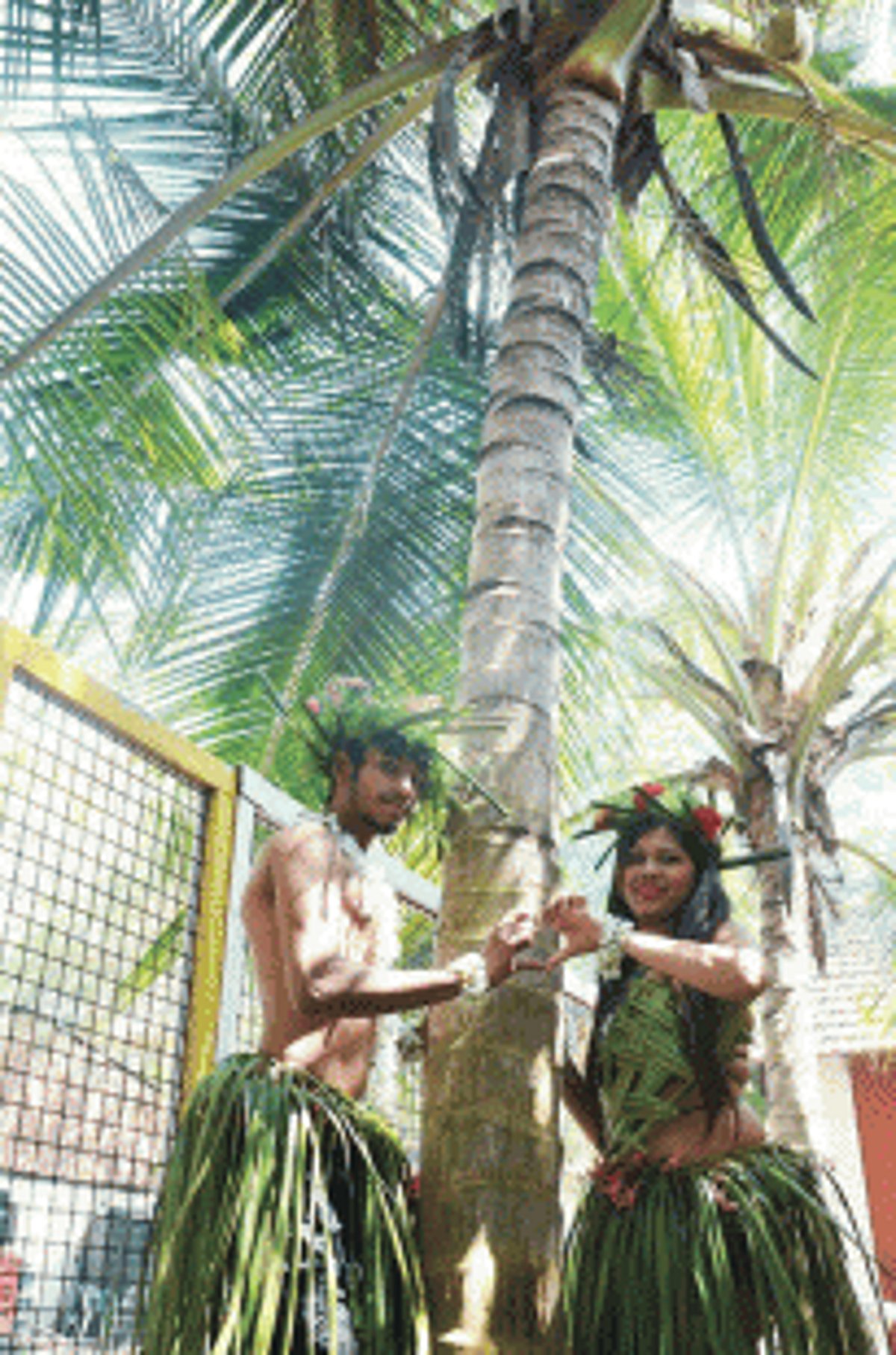 THE BJP IS GONG NUTS DEFENDING ITS ANTI-COCONUT MOVE