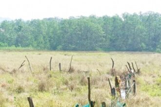 THE FARMING OF HOPE: A revival movement to transform Goan farms from fallow to fertile