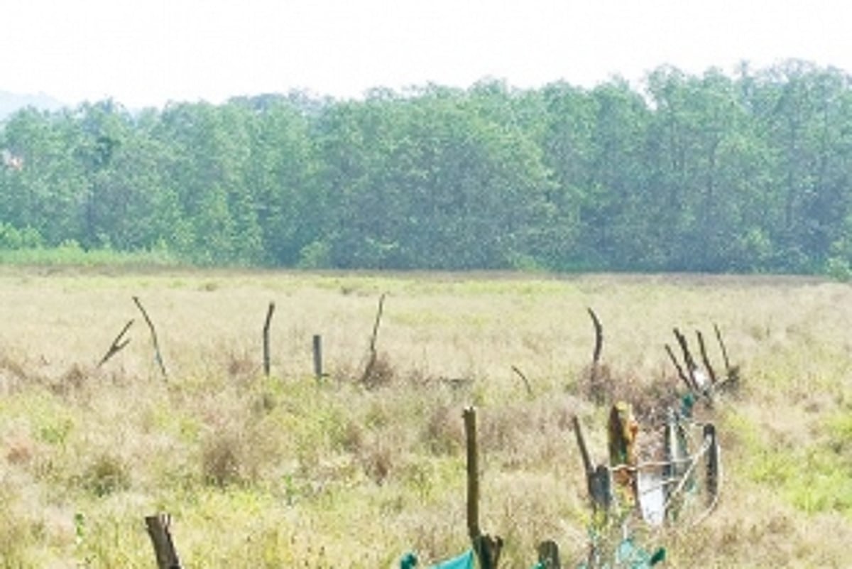 THE FARMING OF HOPE: A revival movement to transform Goan farms from fallow to fertile