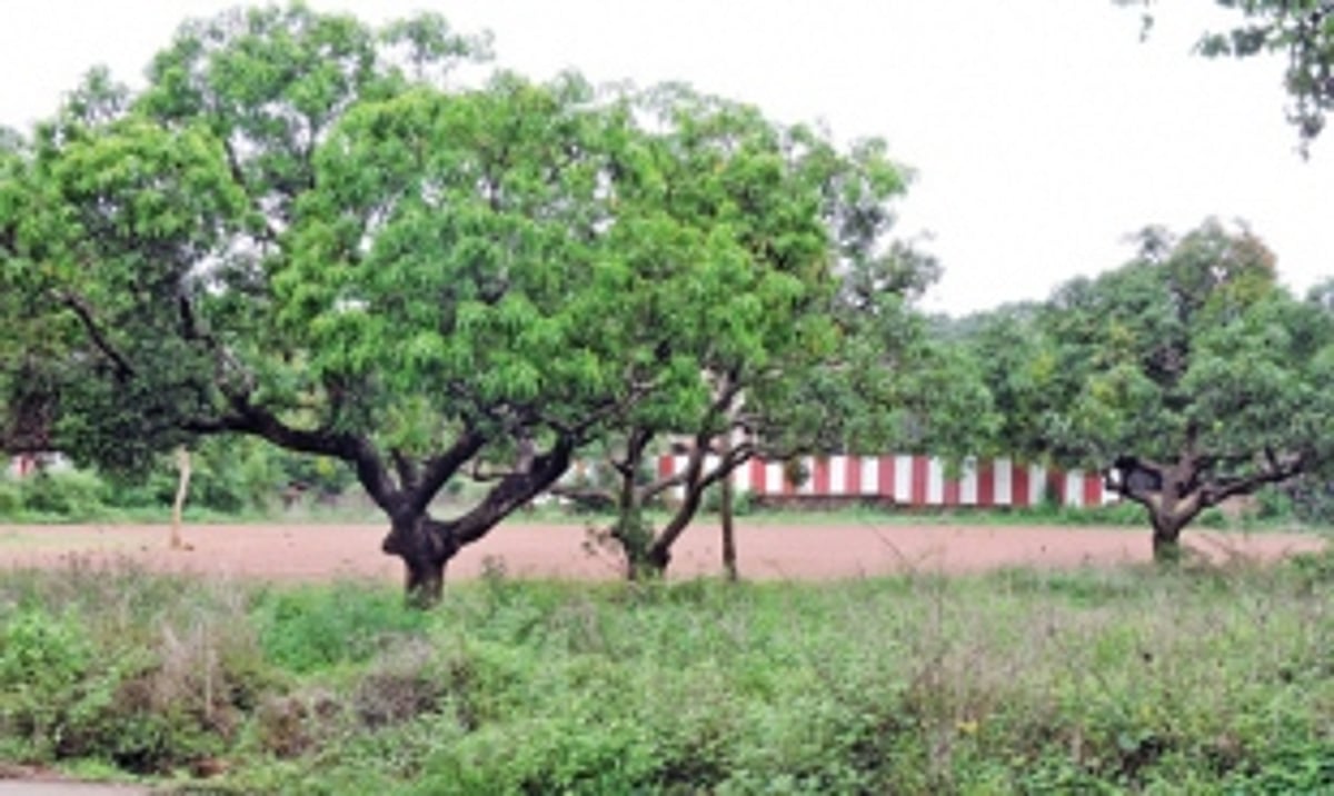 THE GROUND IS NOT YET CLEAR