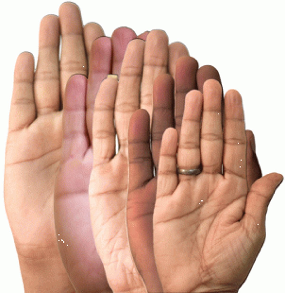 THE HAND OF UNITY – DIVIDED