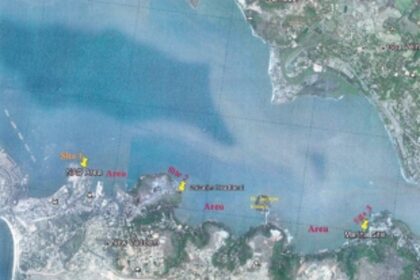 THE YACHT VS THE OYSTER