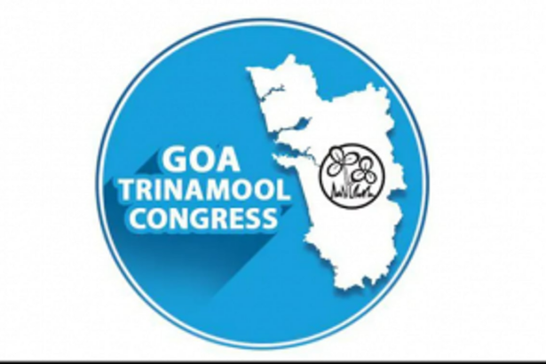 TMC reconstitutes  State committee