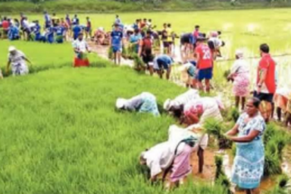 TRADITIONS AREN’T FORGOTTEN, WHY SHOULD TRADITIONAL OCCUPATIONS?