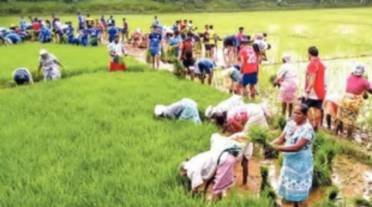 TRADITIONS AREN’T FORGOTTEN, WHY SHOULD TRADITIONAL OCCUPATIONS?