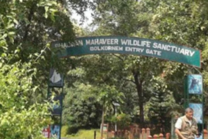 TTAG urges Centre to reconsider permission to projects  in Bhagwan Wildlife Sanctuary, Mollem National Park