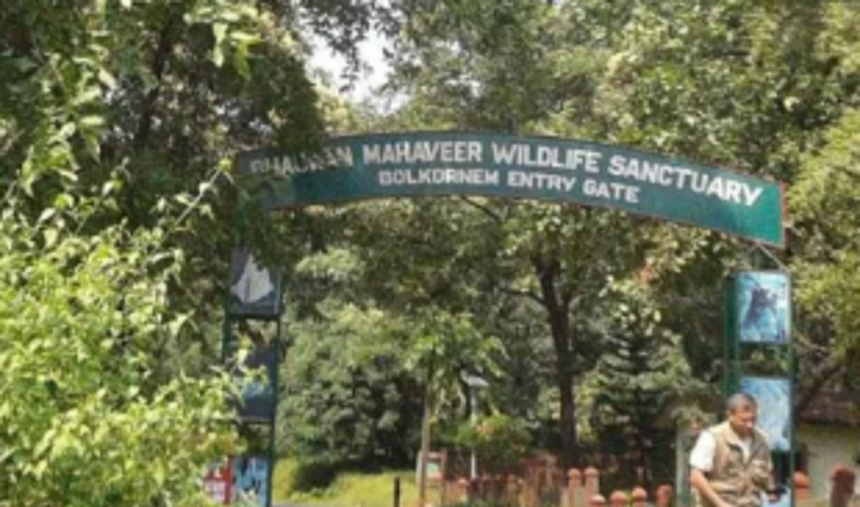 TTAG urges Centre to reconsider permission to projects  in Bhagwan Wildlife Sanctuary, Mollem National Park