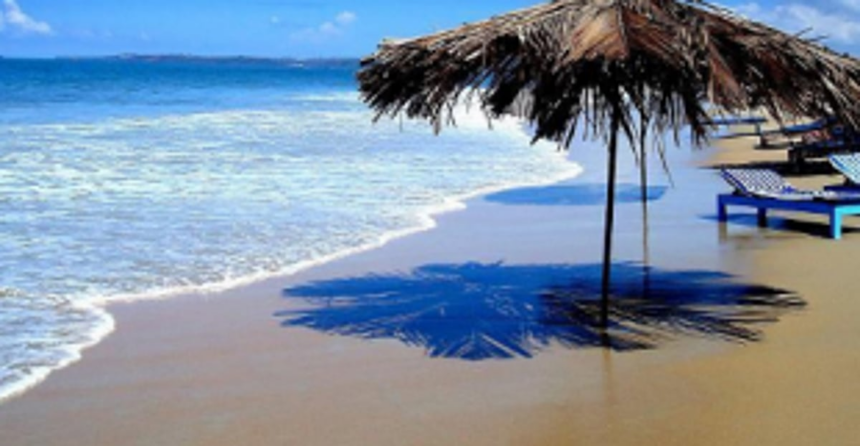 TTAG urges govt to unlock tourism industry in phases