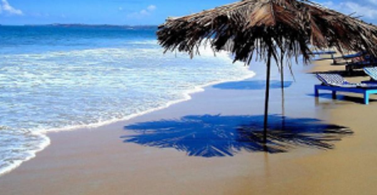 TTAG urges govt to unlock tourism industry in phases