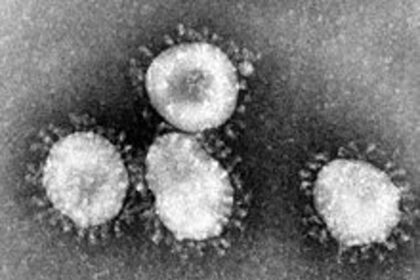 Tackling Coronavirus: It's best to be prepared