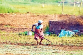 Tackling economic slowdown: Turning to agriculture for making Goa ‘self-reliant’