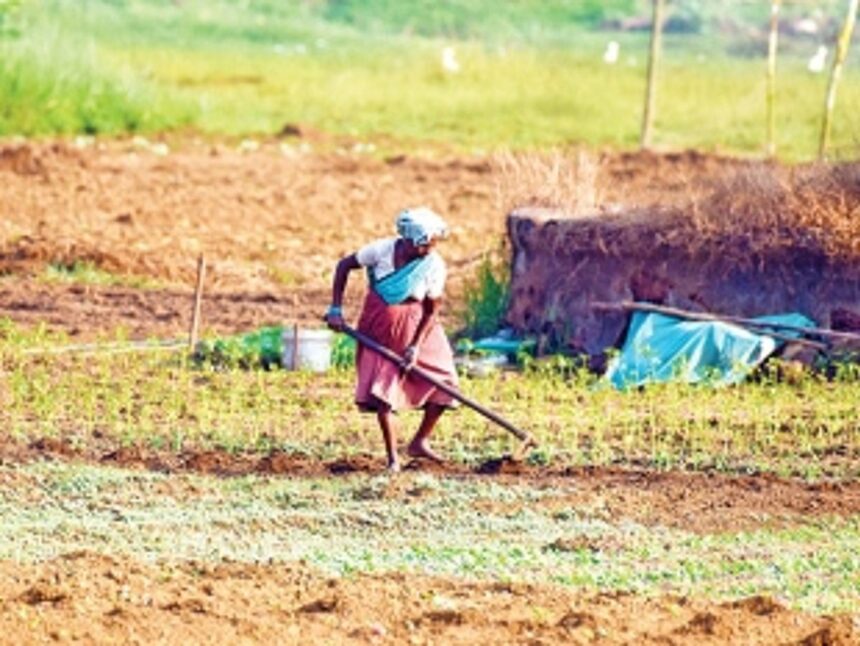 Tackling economic slowdown: Turning to agriculture for making Goa ‘self-reliant’ 1 Tackling economic slowdown: Turning to agriculture for making Goa ‘self-reliant’