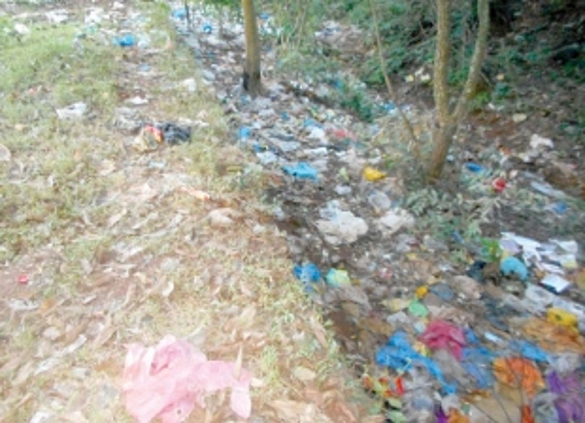 Tackling garbage menace at Queula
