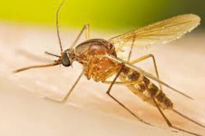 Take precautions to prevent vector borne diseases, Dr Mahatme advises students