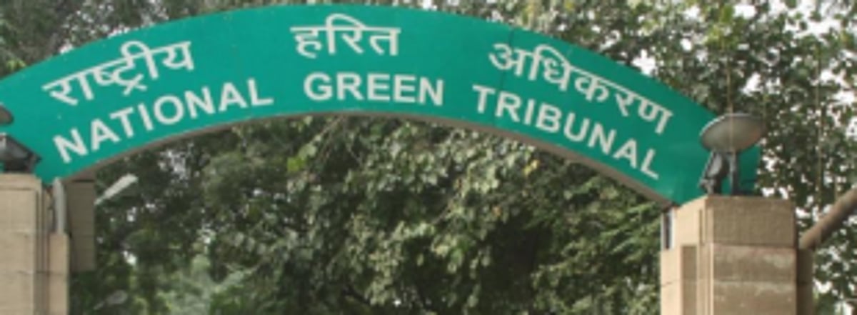 Take remedial steps to restore sand dunes in Cavelossim: NGT