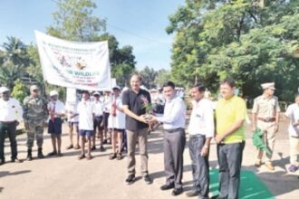 Take students to  wildlife picnics: CM