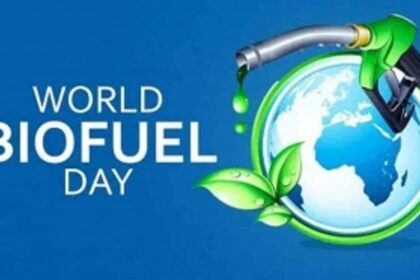 Take that seaweed and make it fuel for your car