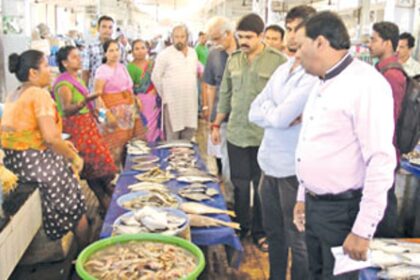 Taking a close look at sale of fish in PDA fish market.