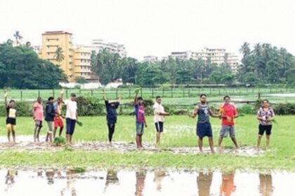 Taleigao fields and sustainable development