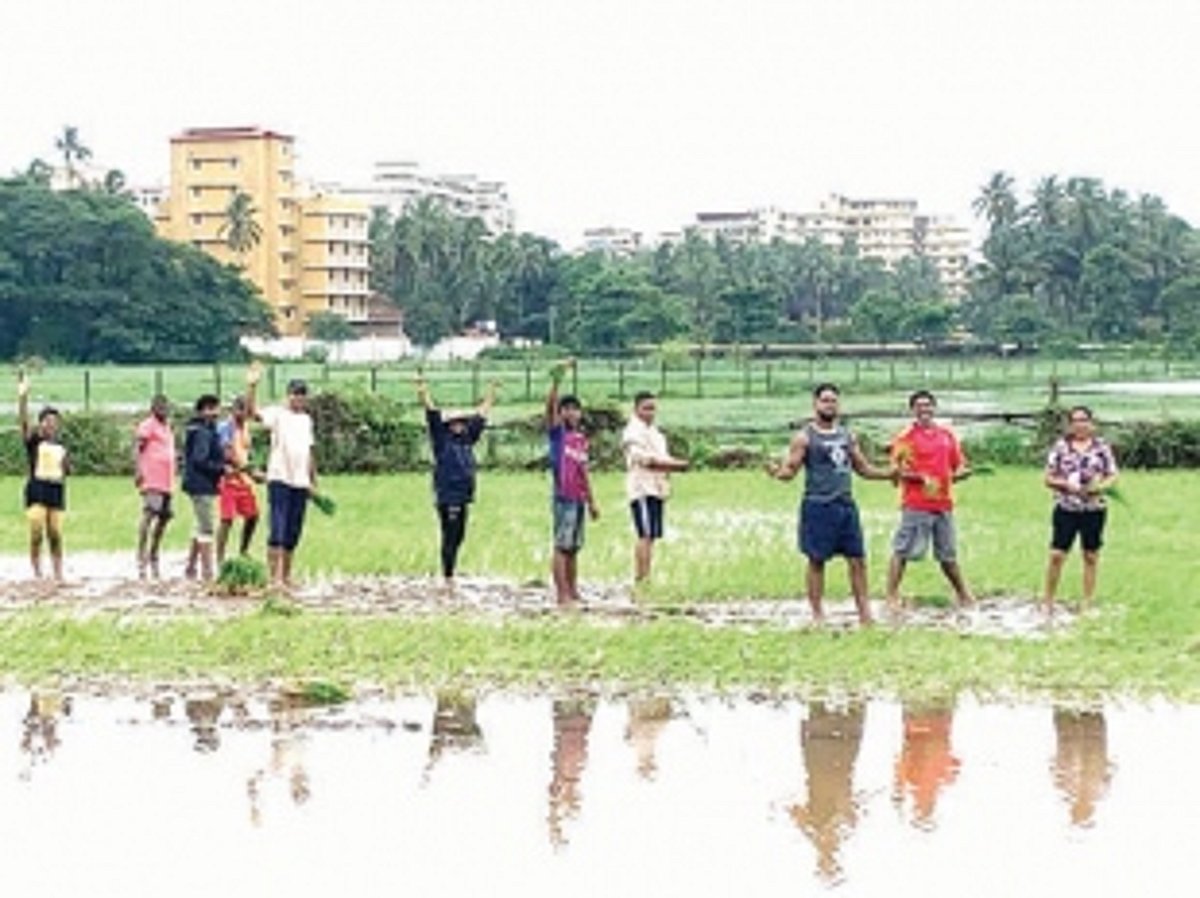 Taleigao fields and sustainable development