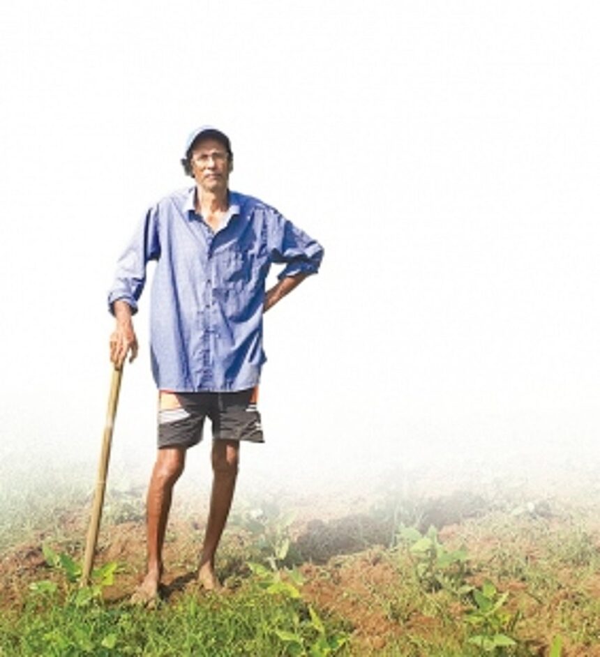 Taleigao’s Francisco de Almeida, the lone ranger sustaining his agricultural heritage amidst urbanisation 1 Taleigao’s Francisco de Almeida, the lone ranger sustaining his agricultural heritage amidst urbanisation